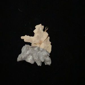 Coral pendant